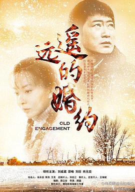 遥远的婚约第16集