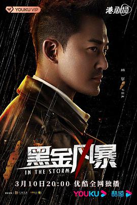 黑金风暴2022国语第28集