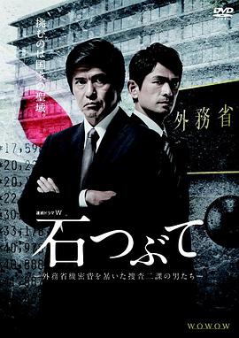 砾石第04集