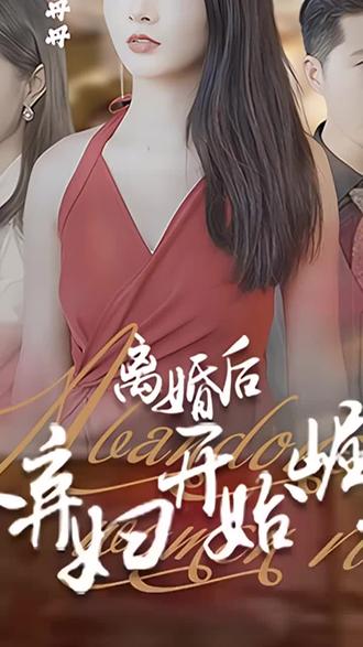 离婚后，从弃妇开始崛起1-20集