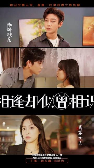 相逢却似曾相识21-40集