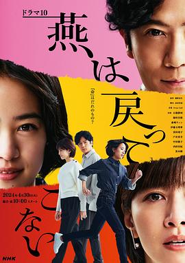 燕子不再归来第08集
