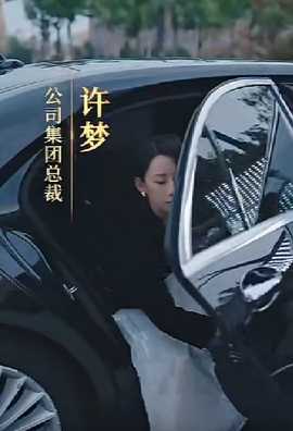 女老板的复仇全集(大结局)