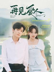 再见爱人81集全集(大结局)