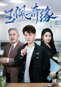 玉佩奇缘全集(大结局)