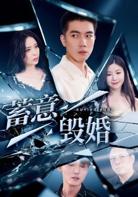 蓄意毁婚全集(大结局)