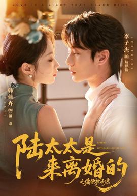 陆太太是来离婚的之慵便枕玉凉(全集)
