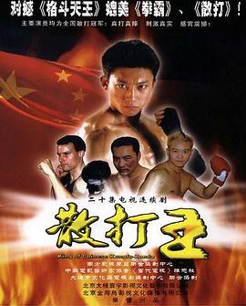 散打王第19集